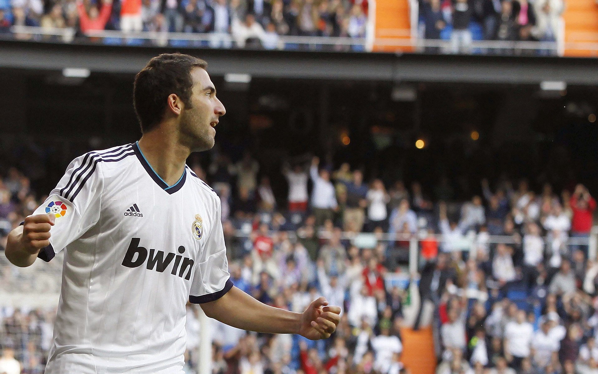 _国际马术争霸赛：优雅骑艺震撼人心_，国际马术表演