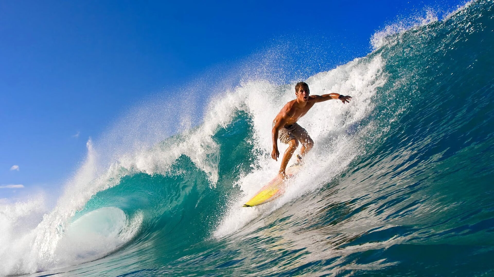 【激战到底】纽约洋基逆转天王山比赛夺冠